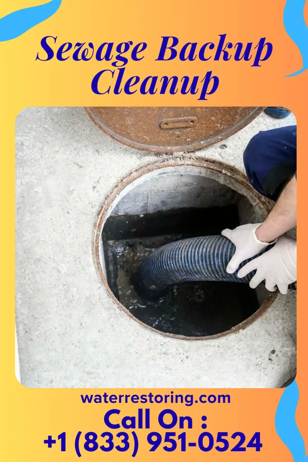Sewage Backup Cleanup in Kettle River, MN